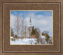 Load image into Gallery viewer, Boston Winter Morning
