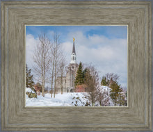 Load image into Gallery viewer, Boston Winter Morning
