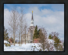Load image into Gallery viewer, Boston Winter Morning
