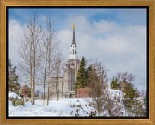 Load image into Gallery viewer, Boston Winter Morning
