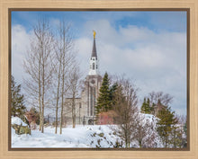 Load image into Gallery viewer, Boston Winter Morning
