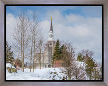 Load image into Gallery viewer, Boston Winter Morning
