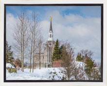Load image into Gallery viewer, Boston Winter Morning
