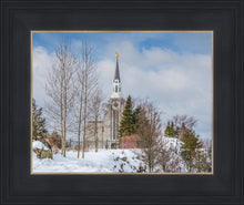 Load image into Gallery viewer, Boston Winter Morning
