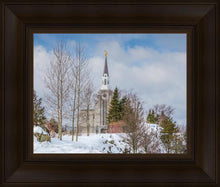 Load image into Gallery viewer, Boston Winter Morning

