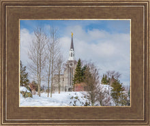 Load image into Gallery viewer, Boston Winter Morning
