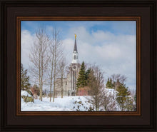Load image into Gallery viewer, Boston Winter Morning
