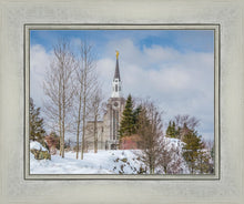 Load image into Gallery viewer, Boston Winter Morning
