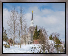 Load image into Gallery viewer, Boston Winter Morning
