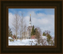 Load image into Gallery viewer, Boston Winter Morning
