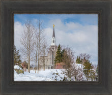 Load image into Gallery viewer, Boston Winter Morning
