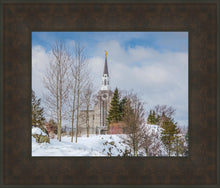 Load image into Gallery viewer, Boston Winter Morning
