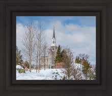 Load image into Gallery viewer, Boston Winter Morning
