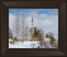 Load image into Gallery viewer, Boston Winter Morning
