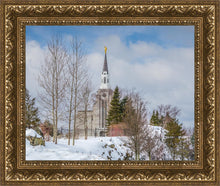 Load image into Gallery viewer, Boston Winter Morning

