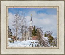 Load image into Gallery viewer, Boston Winter Morning
