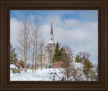 Load image into Gallery viewer, Boston Winter Morning
