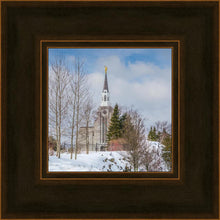 Load image into Gallery viewer, Boston Winter Morning
