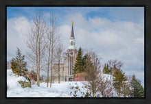 Load image into Gallery viewer, Boston Winter Morning
