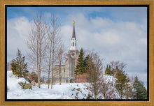 Load image into Gallery viewer, Boston Winter Morning
