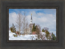 Load image into Gallery viewer, Boston Winter Morning
