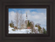 Load image into Gallery viewer, Boston Winter Morning

