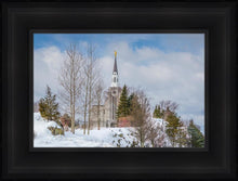 Load image into Gallery viewer, Boston Winter Morning
