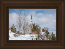 Load image into Gallery viewer, Boston Winter Morning
