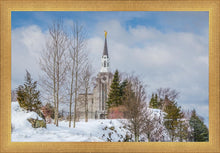 Load image into Gallery viewer, Boston Winter Morning
