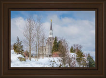 Load image into Gallery viewer, Boston Winter Morning
