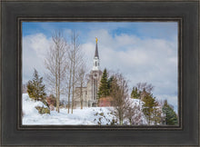 Load image into Gallery viewer, Boston Winter Morning
