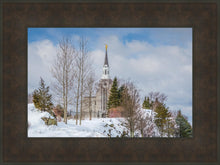 Load image into Gallery viewer, Boston Winter Morning
