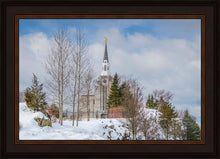 Load image into Gallery viewer, Boston Winter Morning
