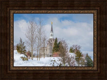 Load image into Gallery viewer, Boston Winter Morning

