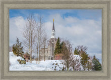 Load image into Gallery viewer, Boston Winter Morning
