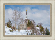Load image into Gallery viewer, Boston Winter Morning
