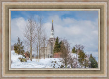 Load image into Gallery viewer, Boston Winter Morning
