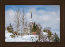 Load image into Gallery viewer, Boston Winter Morning
