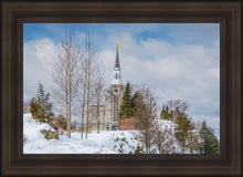 Load image into Gallery viewer, Boston Winter Morning
