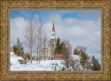 Load image into Gallery viewer, Boston Winter Morning
