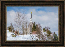 Load image into Gallery viewer, Boston Winter Morning

