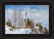 Load image into Gallery viewer, Boston Winter Morning
