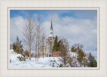 Load image into Gallery viewer, Boston Winter Morning
