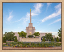 Load image into Gallery viewer, Albuquerque Morning Tranquility
