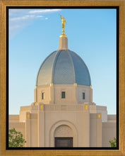 Load image into Gallery viewer, Tucson Morning Glory
