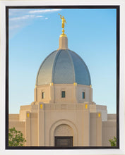 Load image into Gallery viewer, Tucson Morning Glory
