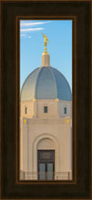 Load image into Gallery viewer, Tucson Morning Glory

