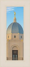 Load image into Gallery viewer, Tucson Morning Glory
