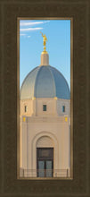 Load image into Gallery viewer, Tucson Morning Glory
