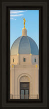 Load image into Gallery viewer, Tucson Morning Glory
